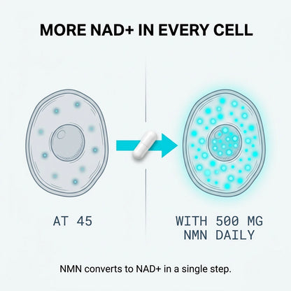Pure NMN Capsules