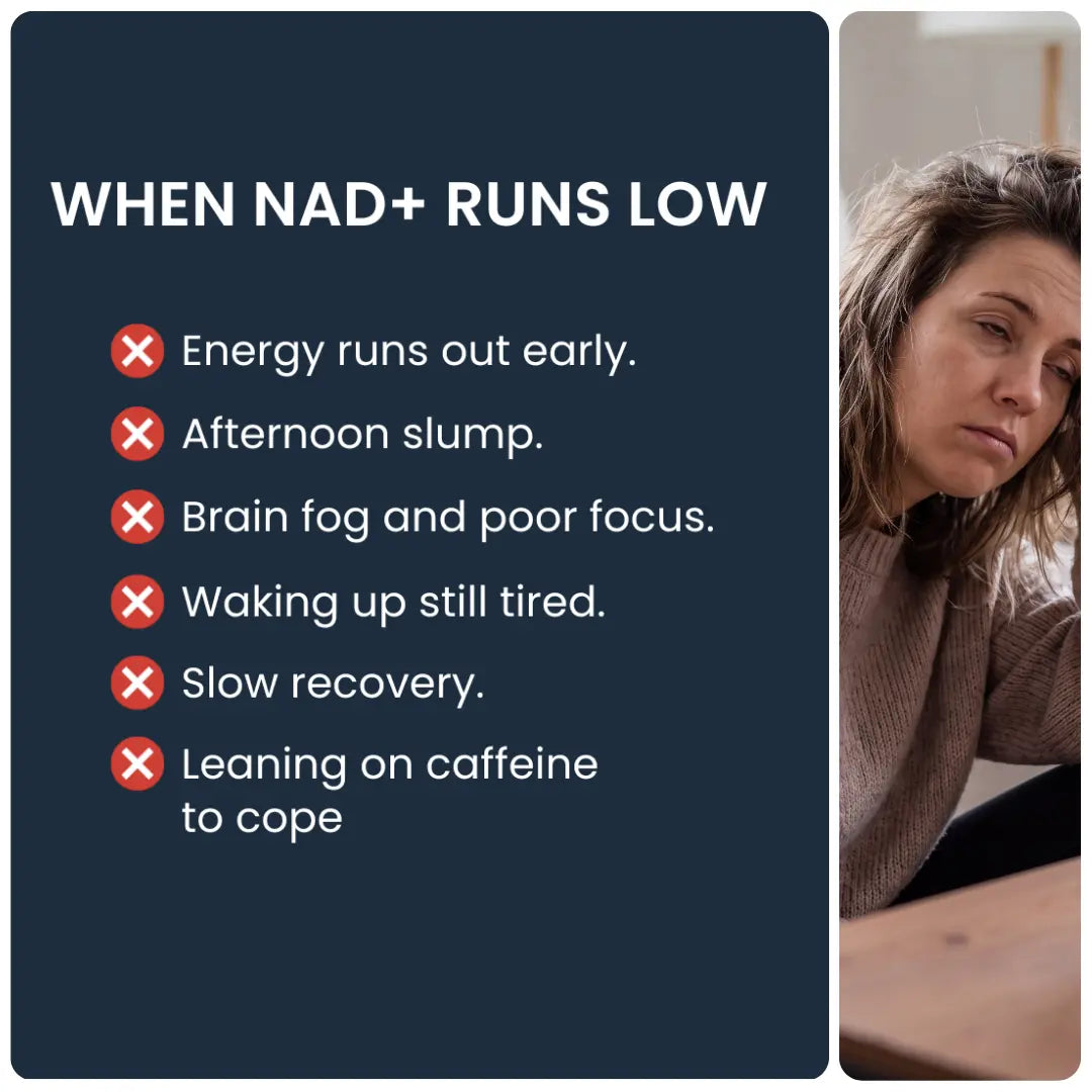Pure NMN Capsules